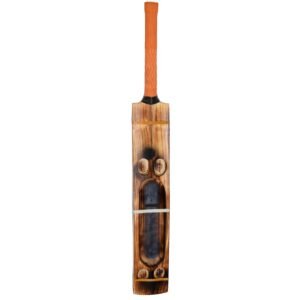 Double Blade Kashmir Willow Scoop Bat