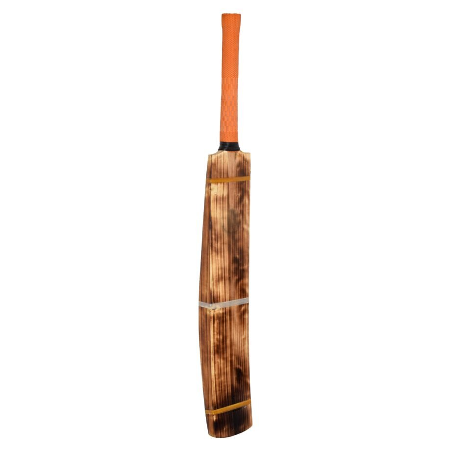 Double Blade Kashmir Willow Scoop Bat