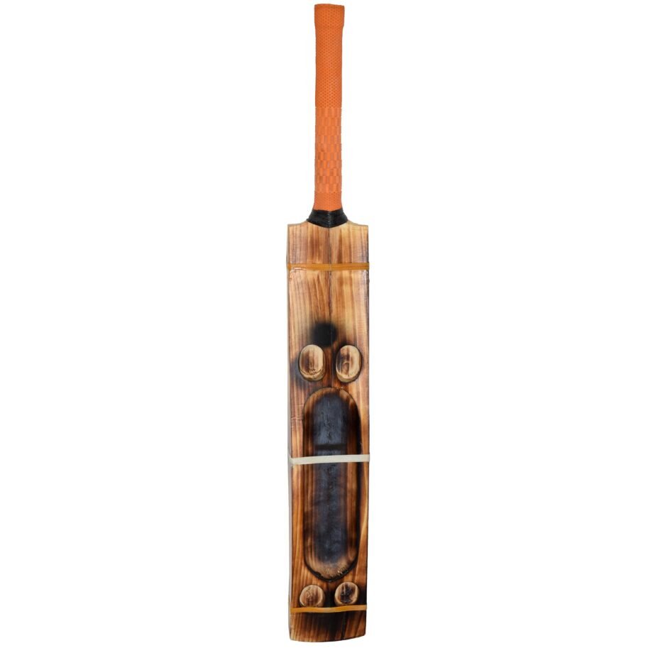 Double Blade Kashmir Willow Scoop Bat