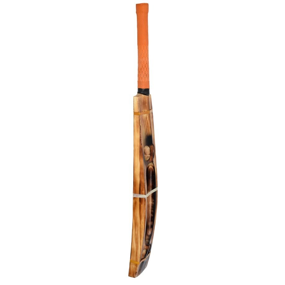 Double Blade Kashmir Willow Scoop Bat