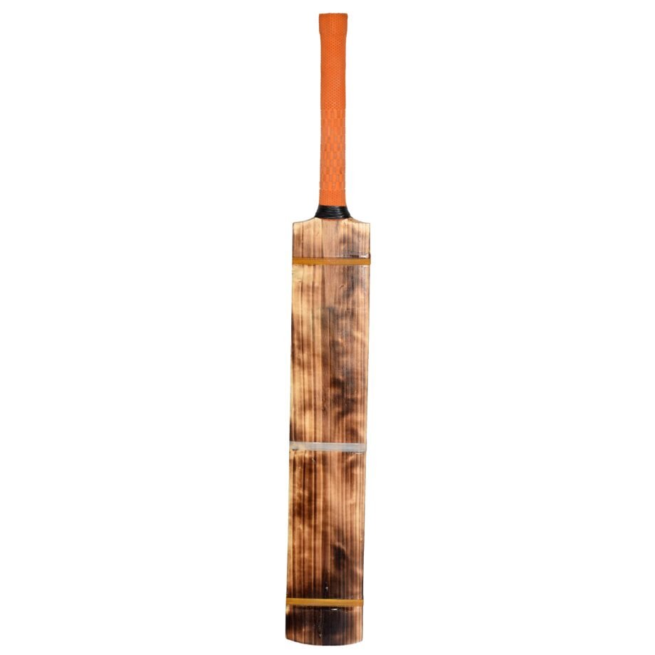 Double Blade Kashmir Willow Scoop Bat